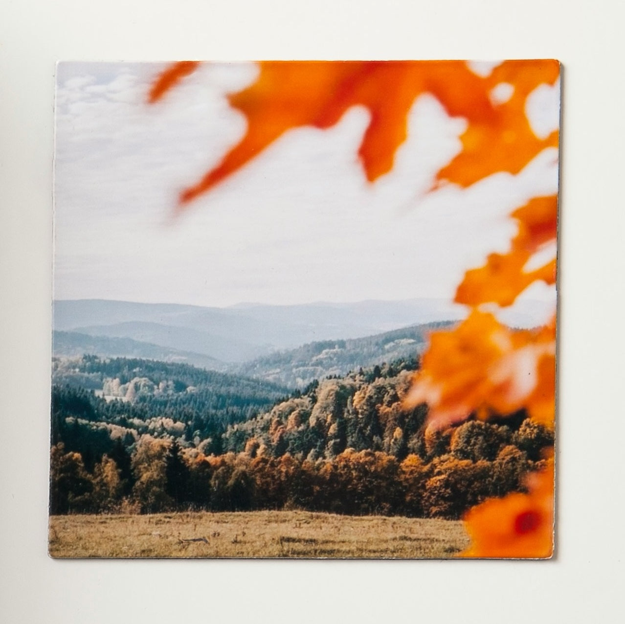 9 Personalized Magnets | 2x2 in