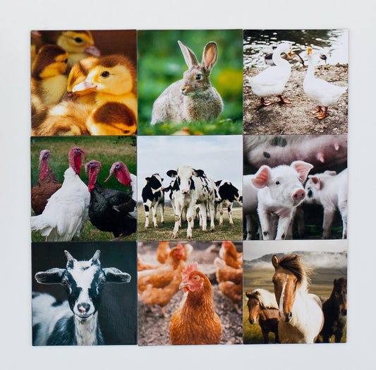 9 Personalized Magnets | 2x2 in